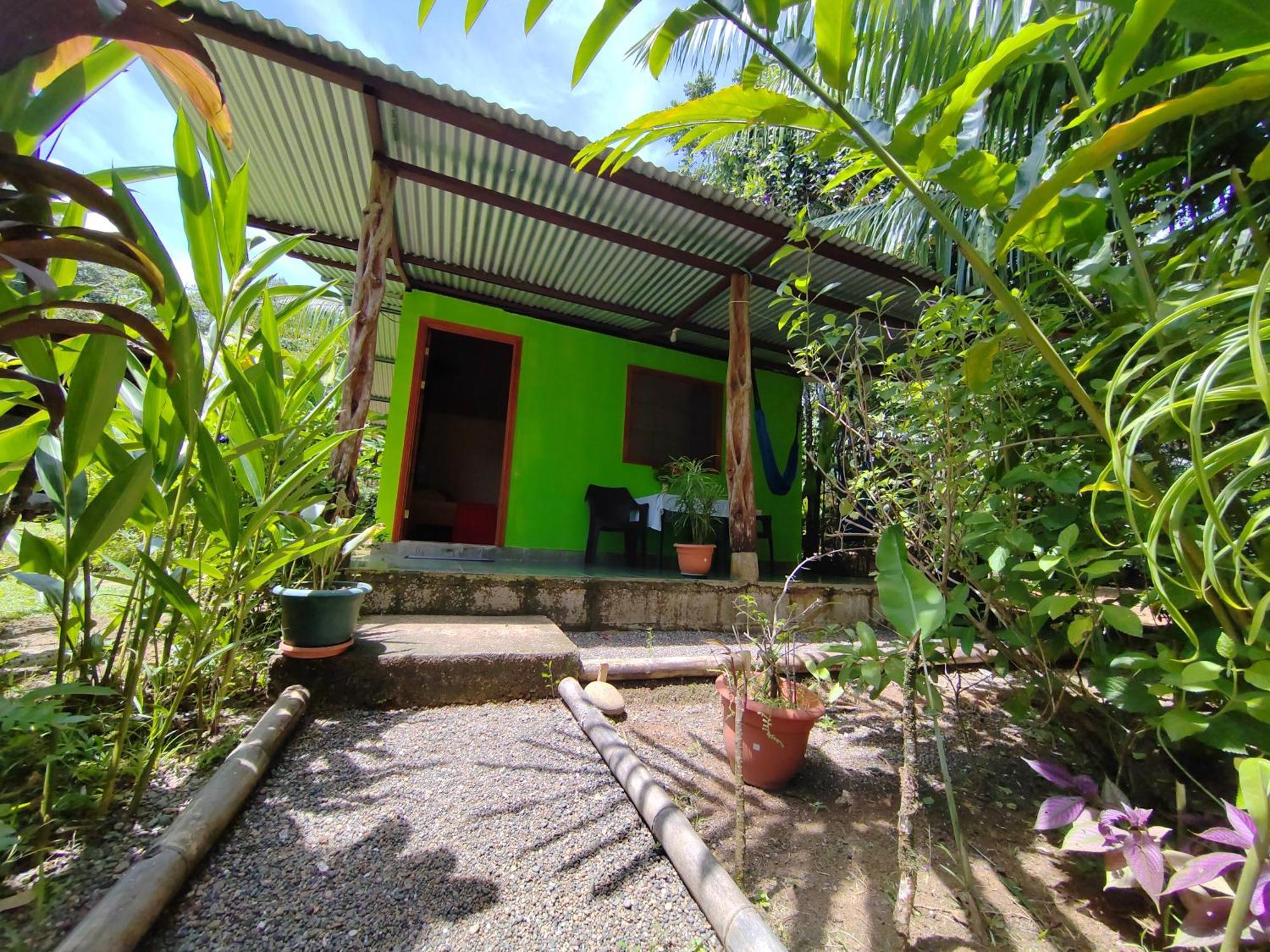 Garden Of Heliconias Lodge Дрейк Екстер'єр фото